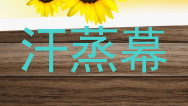 汗蒸幕