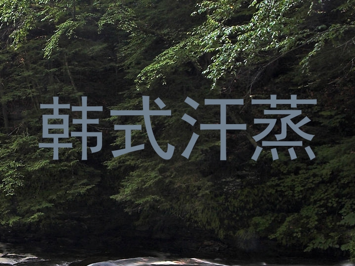 韩式汗蒸