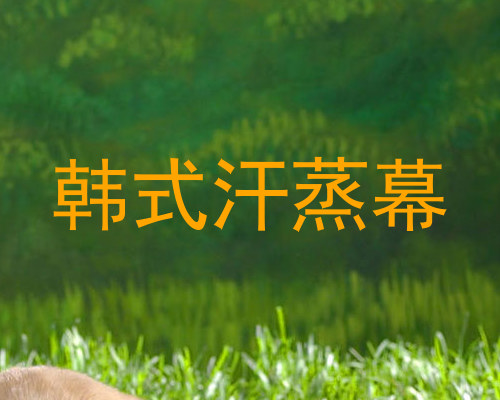 韩式汗蒸幕