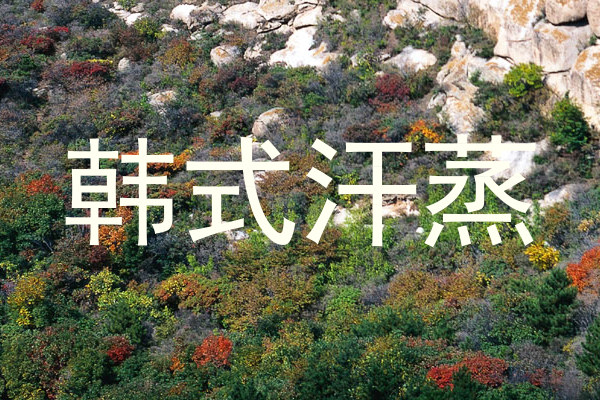 韩式汗蒸