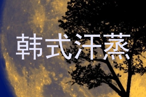 韩式汗蒸