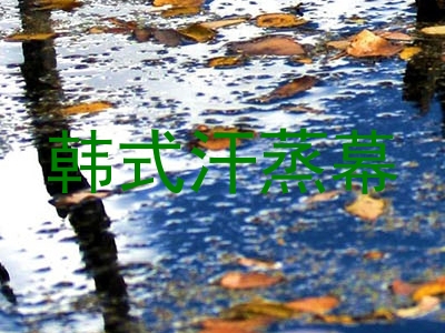 韩式汗蒸幕