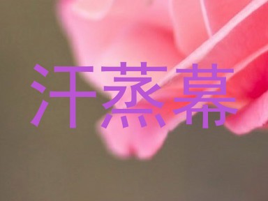 汗蒸幕