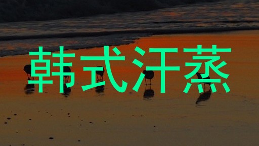 韩式汗蒸