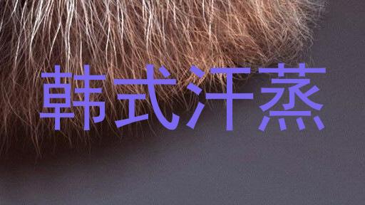 韩式汗蒸