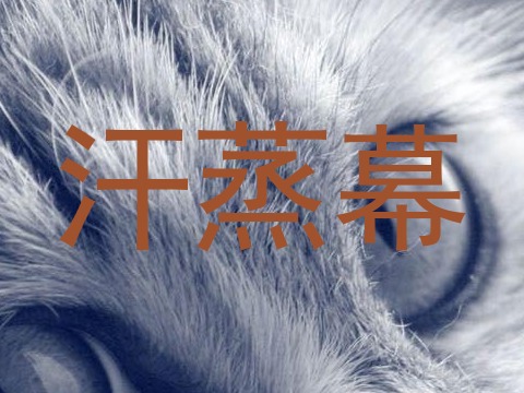 汗蒸幕
