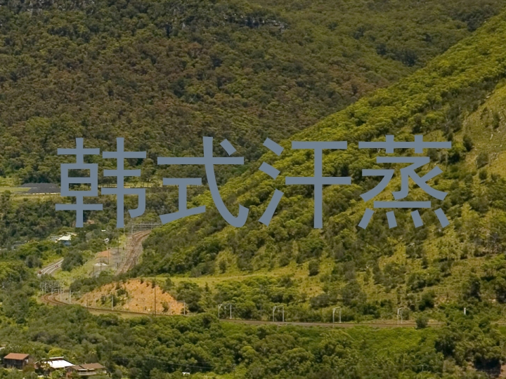 韩式汗蒸