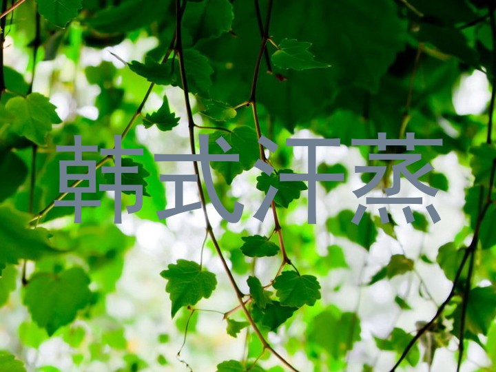 韩式汗蒸