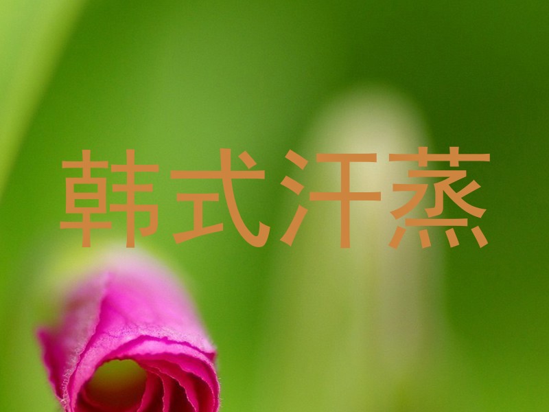 韩式汗蒸