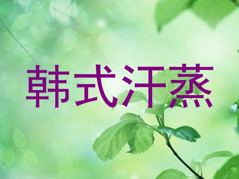 韩式汗蒸