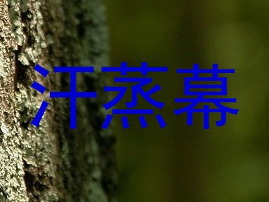 汗蒸幕