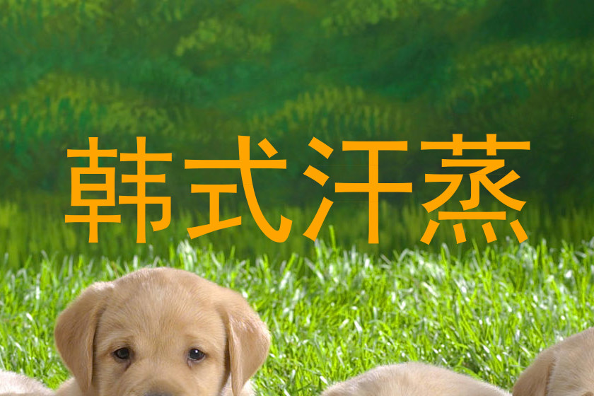 韩式汗蒸