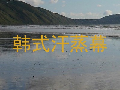 韩式汗蒸幕