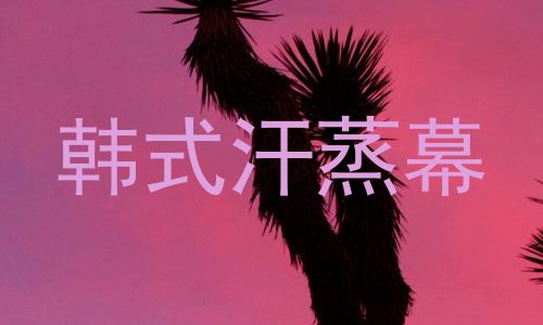 韩式汗蒸幕