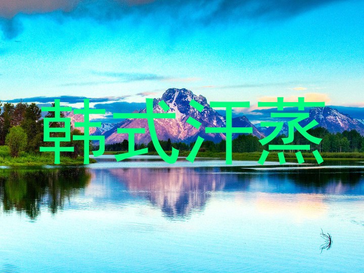 韩式汗蒸