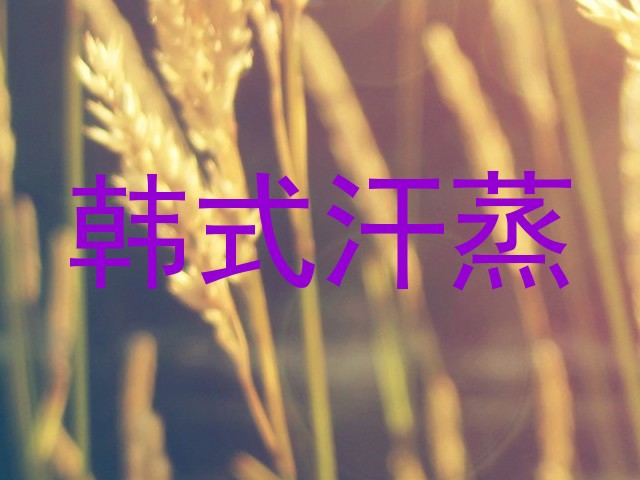 韩式汗蒸