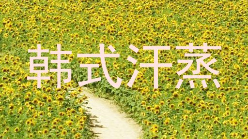 韩式汗蒸
