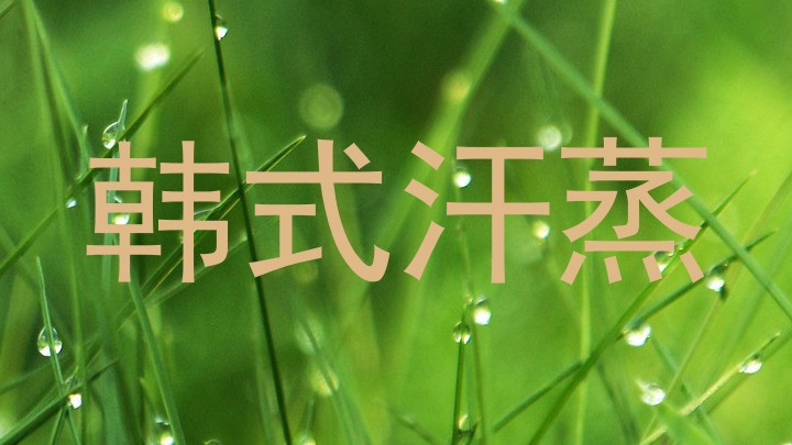 韩式汗蒸