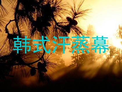 韩式汗蒸幕