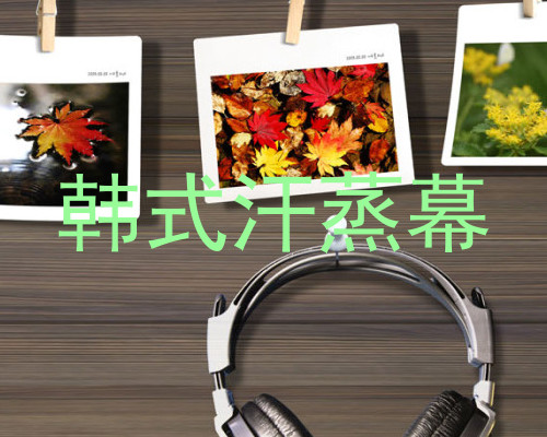 韩式汗蒸幕