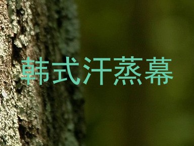 韩式汗蒸幕