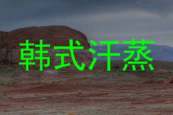 韩式汗蒸