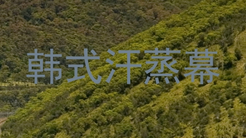 韩式汗蒸幕