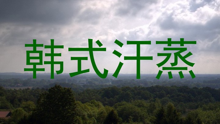 韩式汗蒸