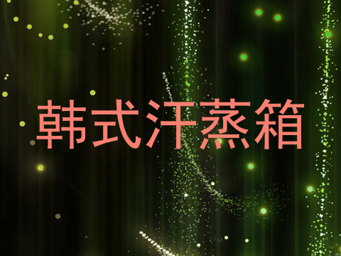 韩式汗蒸箱