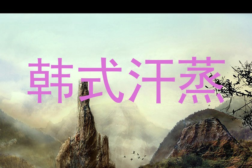 韩式汗蒸