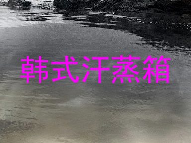 韩式汗蒸箱