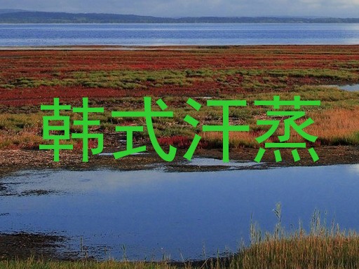 韩式汗蒸