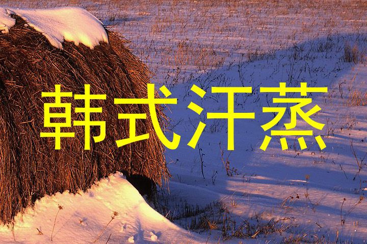 韩式汗蒸