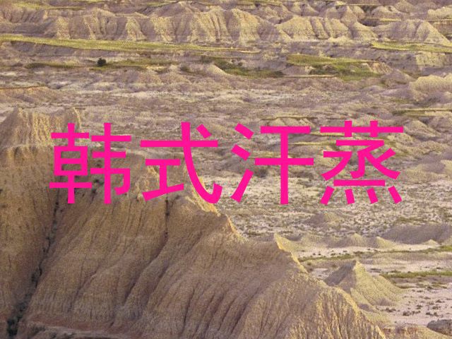 韩式汗蒸