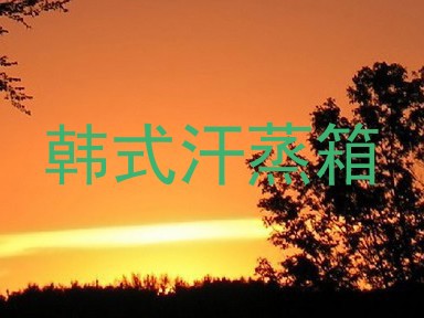 韩式汗蒸箱