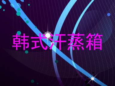 韩式汗蒸箱