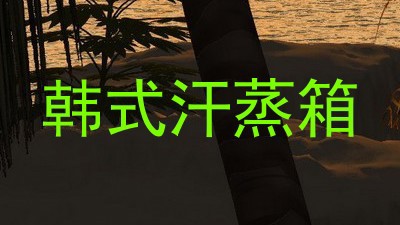 韩式汗蒸箱