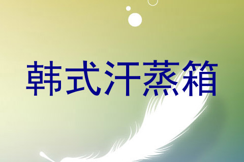 韩式汗蒸箱