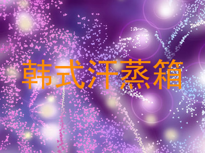 韩式汗蒸箱