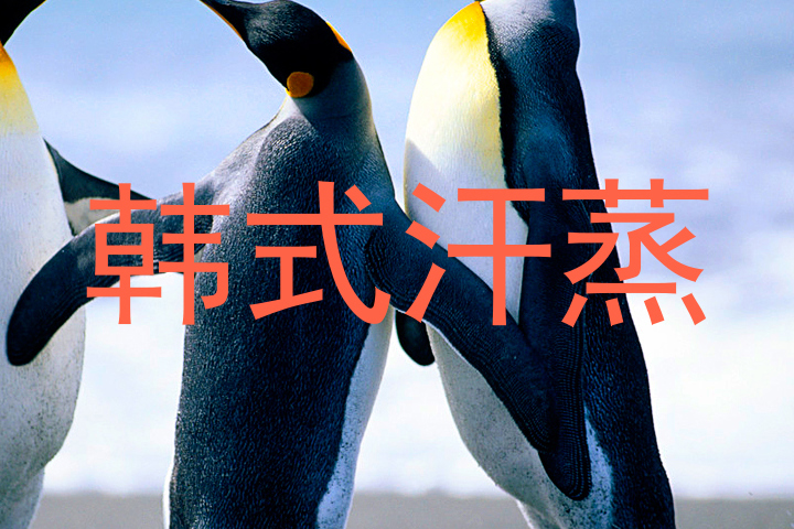 韩式汗蒸