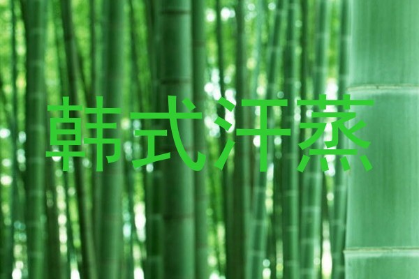 韩式汗蒸