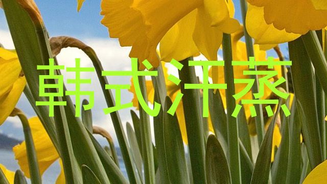 韩式汗蒸
