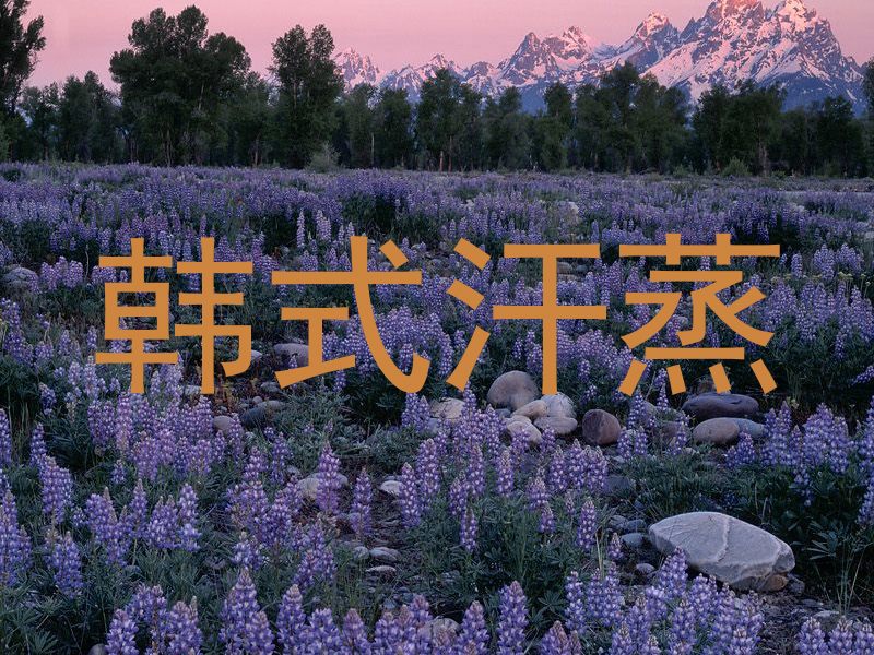 韩式汗蒸