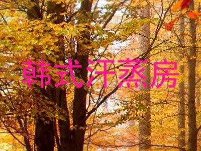 韩式汗蒸房