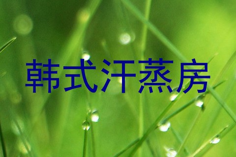 韩式汗蒸房