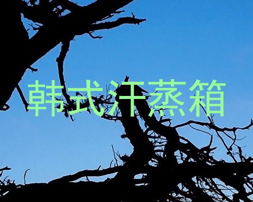 韩式汗蒸箱