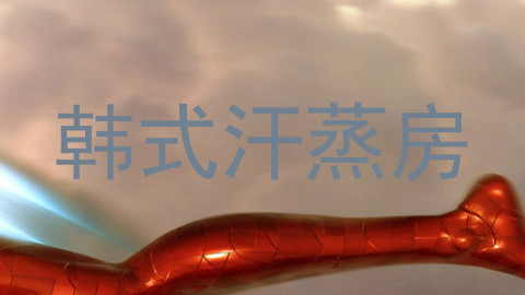 韩式汗蒸房