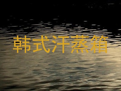 韩式汗蒸箱