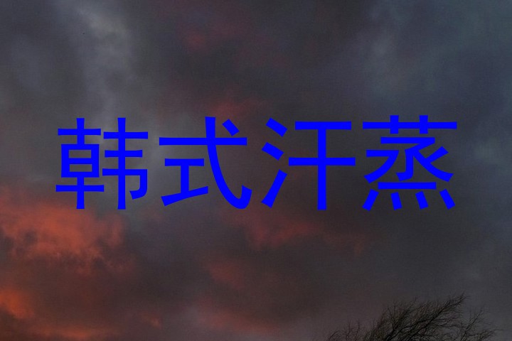 韩式汗蒸