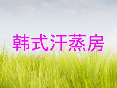 韩式汗蒸房